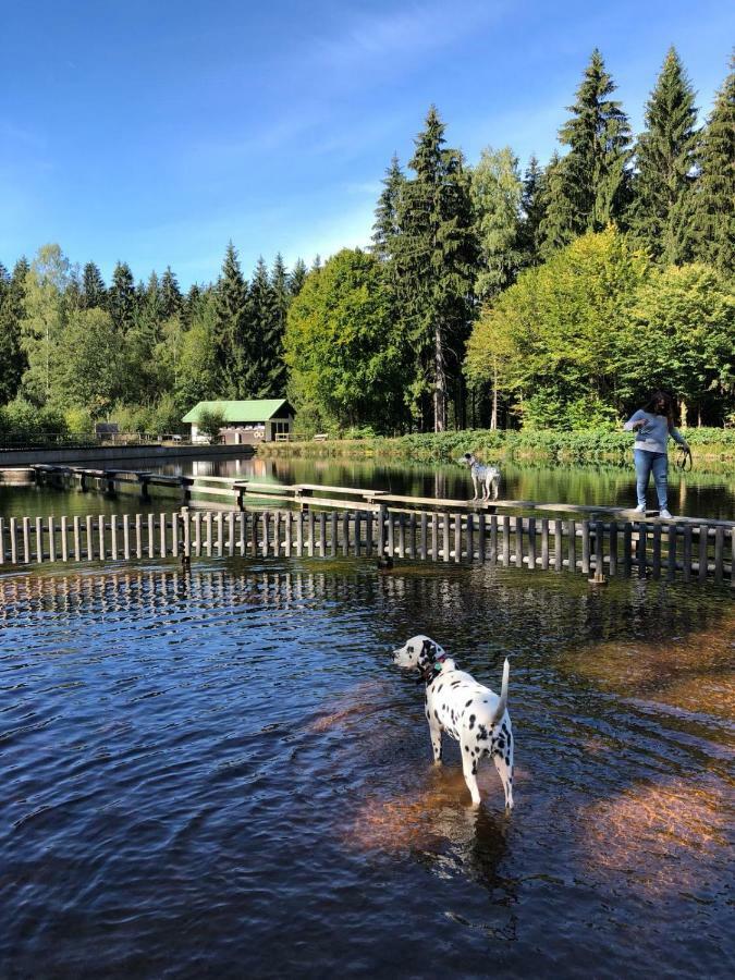 Pension Maddox Warmensteinach Eksteriør bilde